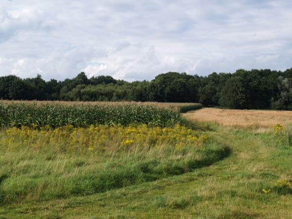 Weg ins Naturschutzgebiet