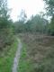 Heide 3