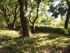 W�ldchen Sommer 2007