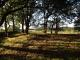 W�ldchen Sommer 2007
