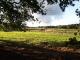 Blick aus dem W�ldchen Sommer 2007