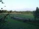 Feld und Wald 3