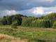 Feuchtbiotop Sprickmoor