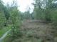 Heide 1