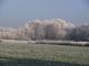 Winter im NSG 1